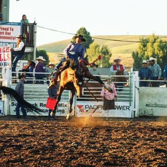 Meet your Posher, Tyler - Picture 1 of 1